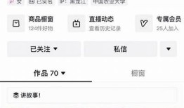 抖音博士：揭秘短视频平台的运营秘籍与成功案例研究
