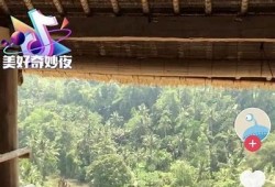 抖阴WEP：探索新一代社交媒体平台的特点与功能解析