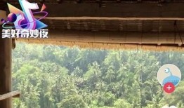 抖阴WEP：探索新一代社交媒体平台的特点与功能解析