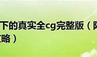阳光下的秘密：探索阳光视频与抖音破解版的无限魅力