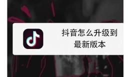 如何更新抖音1.5.5版本教程及技巧解析