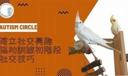 “探索更多社交乐趣：5款超热门的抖阴类App推荐”