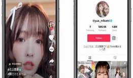 苹果手机是否支援下载抖音？详细解答及相关信息分享