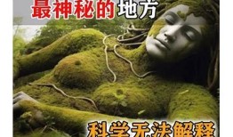 探索神秘社交：与抖阴类似的优质APP推荐及使用体验分享