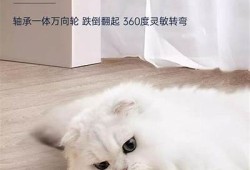 推荐几款与抖阴快猫相似的热门短视频软件