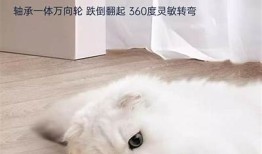 推荐几款与抖阴快猫相似的热门短视频软件