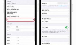 抖音iOS版下载：快速获取最新版本与使用技巧分享