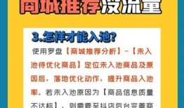 抖阴会员购买指南：如何选择最适合的会员套餐