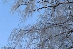 清秋暖冬：探寻秋冬季节的温暖与抖音分享魅力