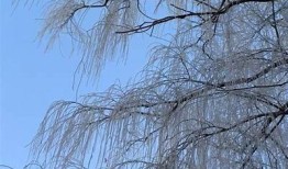 清秋暖冬：探寻秋冬季节的温暖与抖音分享魅力