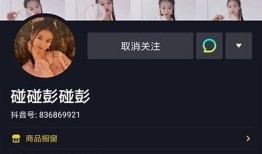 抖阴快妖精：畅享奇妙短视频，带你领略不一样的视听盛宴