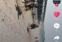 抖阴豌豆：揭秘最热门短视频创作技巧与背后故事