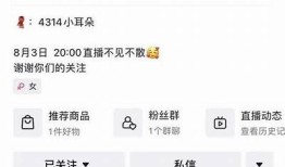 抖阴啊喔哇咿呀：一首充满活力与节奏的原创歌曲的精彩解读与分享