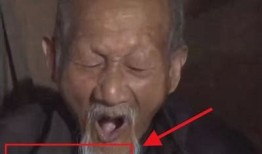 抖阴老司机715：揭秘抖音短视频背后的奇趣故事与技巧分享