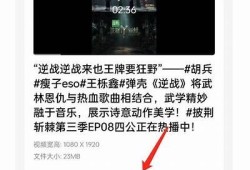 彻底解析抖阴账号会员大全：功能、权益与使用指南