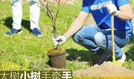 抖阴：探索年轻人喜爱的短视频平台与社交新风尚