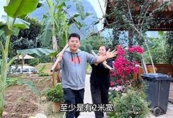 探索大自然魅力：抖阴野花视频带你领略绚丽花海