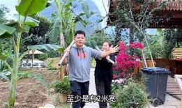 探索大自然魅力：抖阴野花视频带你领略绚丽花海