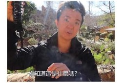 探秘抖阴：你不知道的热门视频技巧与精彩内容分享