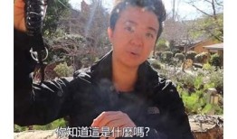 探秘抖阴：你不知道的热门视频技巧与精彩内容分享