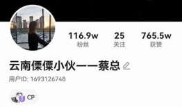 揭秘阴九华：抖音视频中的神秘故事与幕后花絮