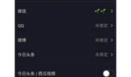 如何解决抖音无法登录的障碍，彻底指南与方法分享