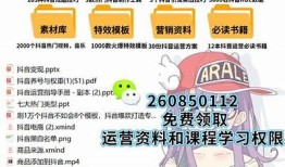 抖阴TVE：探索短视频新动向与创作技巧的彻底指南