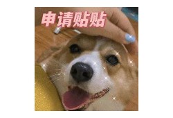 柯基在抖音：搞笑宠物瞬间合集，萌态百出！