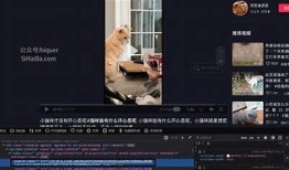 抖音视频在线观看入口：轻松畅享海量精彩内容