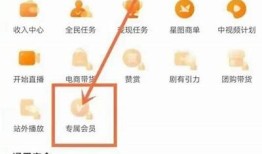抖音会员账号分享信息，轻松获取优质内容体验指南