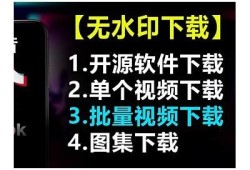 抖音破解版云盘分享：安全获取精彩短视频资源