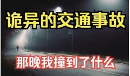 探秘抖阴715老司机：最广泛的玩法与攻略分享