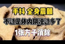 探究“斗阴”情况：不同于“抖阴”的无与伦比魅力与内涵