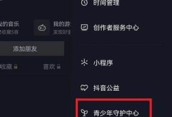 抖阴li e退款申请流程详解，轻松获取退款技巧与注意事项