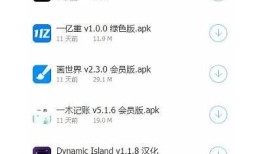 抖音蓝奏云盘破解版下载资源分享与使用指南