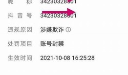 “抖阴用户集中遭遇账户封禁，动因及应对措施解析”