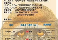 探秘抖阴世界：青春成长与爱情交织的热血冒险