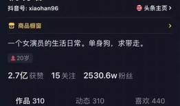 抖音短视频无限次数观看方法：轻松畅享精彩内容