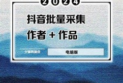 抖音种子资源分享：海量视频素材免费下载平台推荐