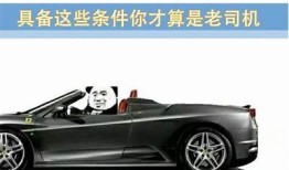2023年热门老司机软件推荐，让你畅享精彩无限视频体验