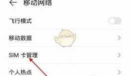 腾讯大王卡是否支援观看抖音视频，详解使用情况与限制