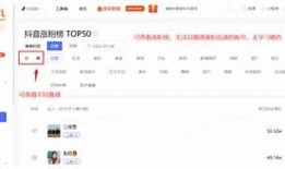 探索五款热门抖音分类软件，轻松管理你的短视频内容