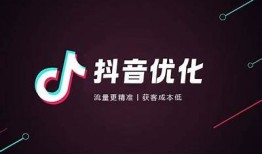 优化抖阴内容，提升视频曝光与用户互动的有效策略分享