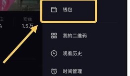 抖阴无限秀币详解：获取攻略与使用技巧分享