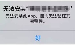 如何在苹果手机上安全验证抖音账号方法详解