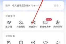 抖阴支付失败的根本原因及解决方法详解
