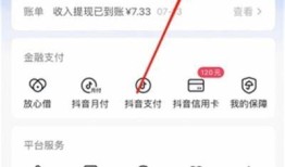 抖阴支付失败的根本原因及解决方法详解