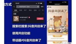 最新抖音帐号推荐，打造你的短视频明星之路