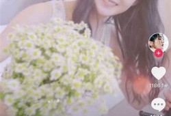抖音会员账号注册攻略：轻松获取玩法与福利详解