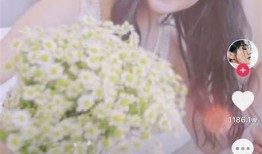 抖音会员账号注册攻略：轻松获取玩法与福利详解